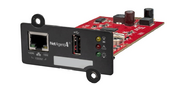 2-портовая внутренняя карта NetAgent A  (CB506 )SNMP v2 / 3,  USB