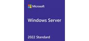 Windows P73-08328 Svr Std 2022 64Bit English 1pk DSP OEI DVD 16 Core