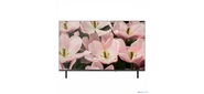 BQ 32F34B Black