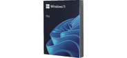 Операционная система Microsoft Windows Pro FPP 11 64-bit Eng USB  (HAV-00162)