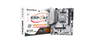 MAXSUN MS-eSport B850M WIFI ICE,  AM5,  B850,  2*DDR5,  2*SATA 3.0,  2*M.2,  USB 3.2,  USB 2.0,  Type-C,  1*PCIE 16,  1*PCIE 1,  HDMI+DP,  mATX