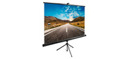 Экран Cactus 160x160см TriExpert CS-PSTE-160x160-BK 1:1 напольный рулонный