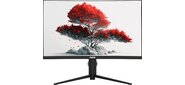 Монитор RDW Computers 27" RDW2706C (Q03В375V2A1) черный VA 5ms 16:9 HDMI M / M матовая HAS Piv 4000:1 300cd 178гр / 178гр 2560x1440 75Hz DP 2K USB (RUS)