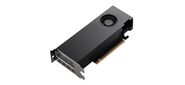 NVIDIA RTX A2000 Graphics Cards (ATX installed, LP included) 12GB, Bulk Packing, ASUS brand (900-5G192-2250-000)