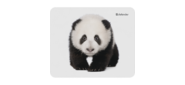 DEFENDER 50803 Коврик для мышки WILD ANIMALS