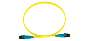 Кабель Патч-корд Panduit F92ELQ1Q1SNM003 2x9 / 125 OS1 / OS2 LC push-pull-LC push-pull 3м LSZH желтый