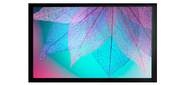 Экран на раме Cactus 124x220см FrameExpert CS-PSFRE-220X124 16:9 настенный натяжной