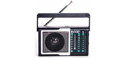 Радиоприемник портативный Сигнал Эфир-16 черный