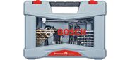 Набор бит для шуруповертов Bosch Premium Set-76 2608P00234 76 предметов