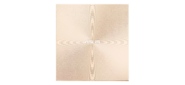 SDRW-08U8M-U / GOLD / G / AS / P2G