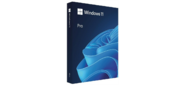 Microsoft Windows 11 Pro 64Bit English+Multi-Languange 1pk DSP OEI DVD