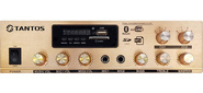 Усилитель Tantos TSo-AA30M выход 100Вт / 30Вт (00-00025068)