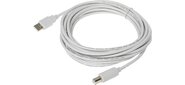 Buro USB A (m) / USB B (m) 5м Кабель USB2.0