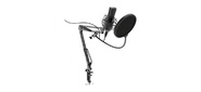 Микрофон проводной Ritmix RDM-180 2.5м черный