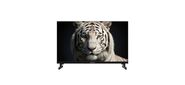 Телевизор Topdevice 24'' TDWC24BH5260V HD / IPS / Smart GTV / 1.5-32 ГБ / Wi-Fi 2.4+5 ГГц / BT 5.1 / 60 Гц / черный