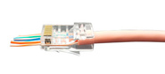 Hyperline PLEZ-8P8C-U-C6-100 Разъем легкой оконцовки RJ-45  (8P8C) под витую пару,  категория 6  (50 µ" /  50 микродюймов),  универсальный  (для одножильного и многожильного кабеля)  (100 шт.)