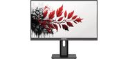 Монитор RDW Computers 27" RDW2701K черный IPS 5ms 16:9 HDMI 1000:1 300cd 178гр / 178гр 1920x1080 100Hz VGA DP FHD (RUS)