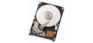 IBM HDD 600GB 15K 6G 3.5" LFF Hot-swap SAS (x3200M2M3 / x3400M2 / x3500M2 / x3250M2M3 / x3620 M3) (43X0802)