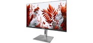 Монитор RDW Computers 23.8" RDW2407 черный / серебристый IPS 1ms HDMI M / M HAS Piv 300cd 178гр / 178гр 1920x1080 120Hz VGA DP FHD USB  (RUS)