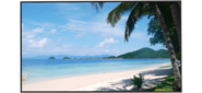 Dahua 55" DHI-LM55-S400 ADS LED 16:9 3840x2160 6ms 5500:1 450cd 178 / 178 D-Sub HDMI*2 DP USB RS232 (RJ45) MM 60Hz 24 / 7 ready VESA Black 2 years