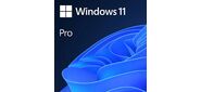 Лицензия OEM Windows 11 Pro 64-bit Russian 1pk DSP OEI DVD  (FQC-10547)
