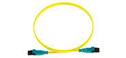 Кабель Патч-корд Panduit F92ELQ1Q1SNM002 2x9 / 125 OS1 / OS2 LC push-pull-LC push-pull 2м LSZH