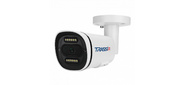 Камера видеонаблюдения IP Trassir TR-D2121CL3 4-4мм цв. корп.:белый