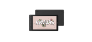 Интерактивный дисплей /  Сенсорный монитор Huion KAMVAS 13 Gen 3 Black