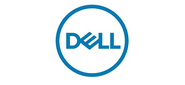 DELL 3.84TB SFF 2.5" SSD Read Intensive SAS 12Gbps,  Hot-plug For 11G / 12G / 13G / T340 / T440 / T640 / MD3 / ME4