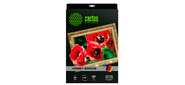 Cactus CS-СA326010 Холст A3 / 300г / м2 / 10л. / белый для струйной печати