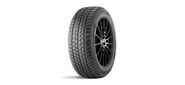 Зимние нешипованные шины DoubleStar DW09 275 / 40 R20 106V