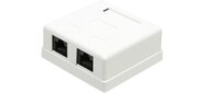 Lanmaster TWT-SM2-4545-WH настенная 2 порта RJ-45 категории 5е. UTP. белая
