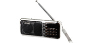 Радиоприемник портативный Сигнал РП-226BT черный / серебристый USB microSD