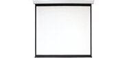 Экран 280x280см Digis Electra-F DSEF-1109 1:1 настенно-потолочный рулонный (моторизованный привод)