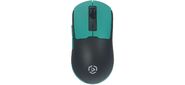 Мышь Raskat MG027TR