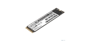 ExeGate SSD M.2 256GB NextPro+ EX282321RUS