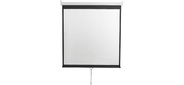 Экран 200x200см Digis Optimal-D DSOD-1105 1:1 настенно-потолочный рулонный
