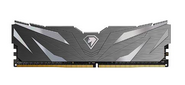Netac Shadow II 16GB DDR4-2666  (PC4-21300) C19 Black 19-19-19-43 1.2V Memory module