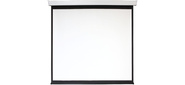 Экран 200x200см Digis Electra-F DSEF-1106 1:1 настенно-потолочный рулонный  (моторизованный привод)