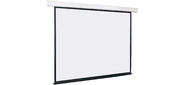 Lumien Eco Control [LEC-100108] Экран с электроприводом 229x305 см  (раб. область 221х297 см) Matte White черная кайма по периметру 4:3