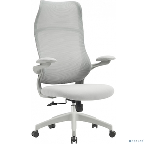 Кресло Cactus CS-GMC505-GY серый пластик серый