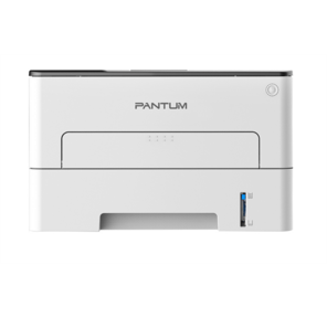 Pantum P3010D