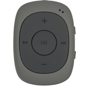 Плеер Flash Digma C2L 4Gb серый FM clip