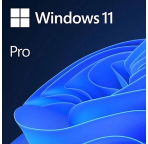 Лицензия OEM Windows 11 Pro 64-bit Russian 1pk DSP OEI DVD  (FQC-10547)