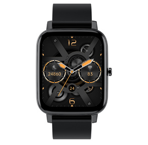 Смарт-часы Digma Smartline E5 1.69" TFT черный  (E5B)