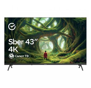 Телевизор 43" SDX-43U5500DBA SBER