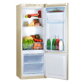 Холодильник RK-102 BEIGE 545TV POZIS
