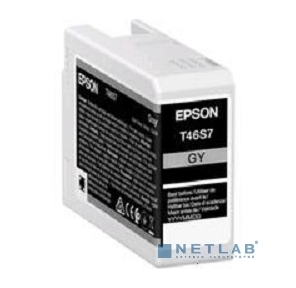 Картридж Epson SinglepackGrayT46S7UltraChromePro10ink25ml