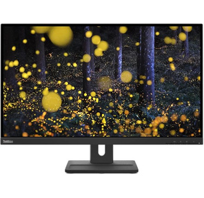 Монитор Lenovo 27" ThinkVision E27q-20 черный IPS 4ms 16:9 HDMI M / M матовая HAS Pivot 350cd 178гр / 178гр 2560x1440 DisplayPort Ultra HD 2K  (1440p) 6.6кг