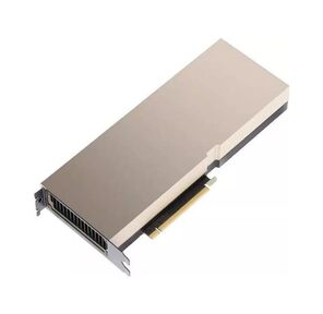 Nvidia Tesla H100 80GB,  1 year